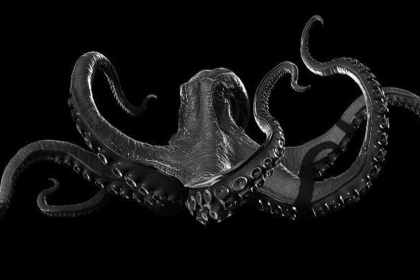 Kraken 6at