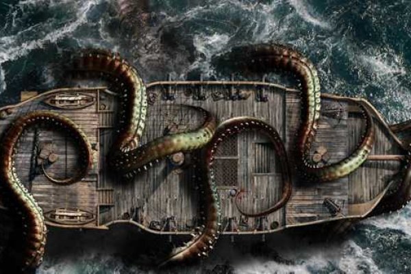 Kraken19at